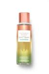 Victoria's Secret Coconut Passion Sunkıssed 250 Ml Kadın Vücut Spreyi