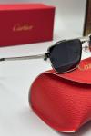 Cartier Gümüş İthal Unisex Güneş Gözlük G3779