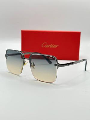 Cartier İthal Erkek Güneş Gözlüğü G3346-VLLZ