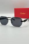Cartier Siyah İthal Unisex Gözlük G3669-VLL