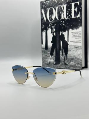 Celine Renkli Cam Kadın Güneş Gözlüğü | G1603